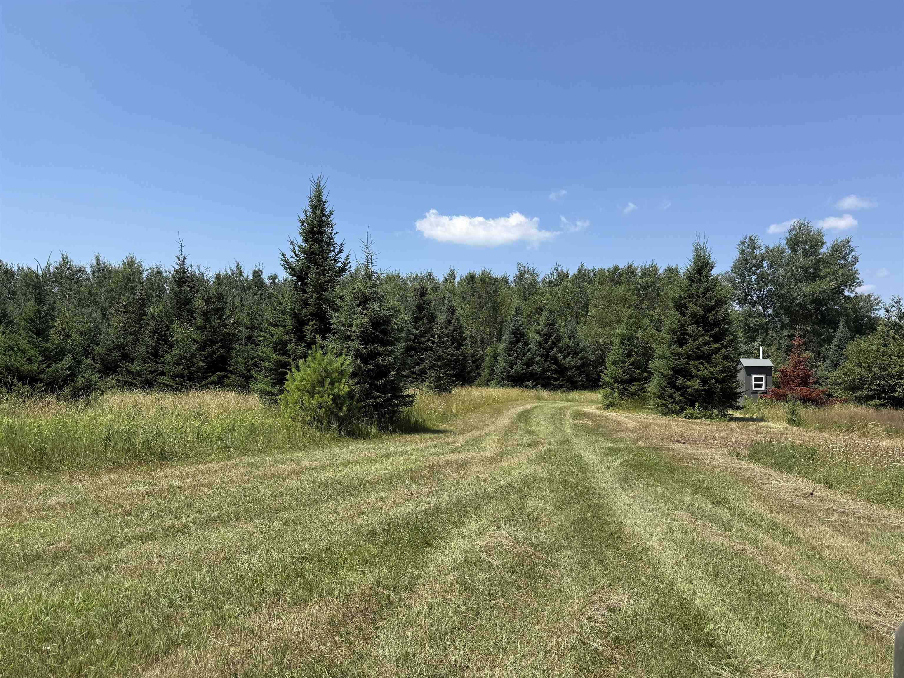 Red Hickory Road Eland, WI 54427 - Photo 2 of 28
