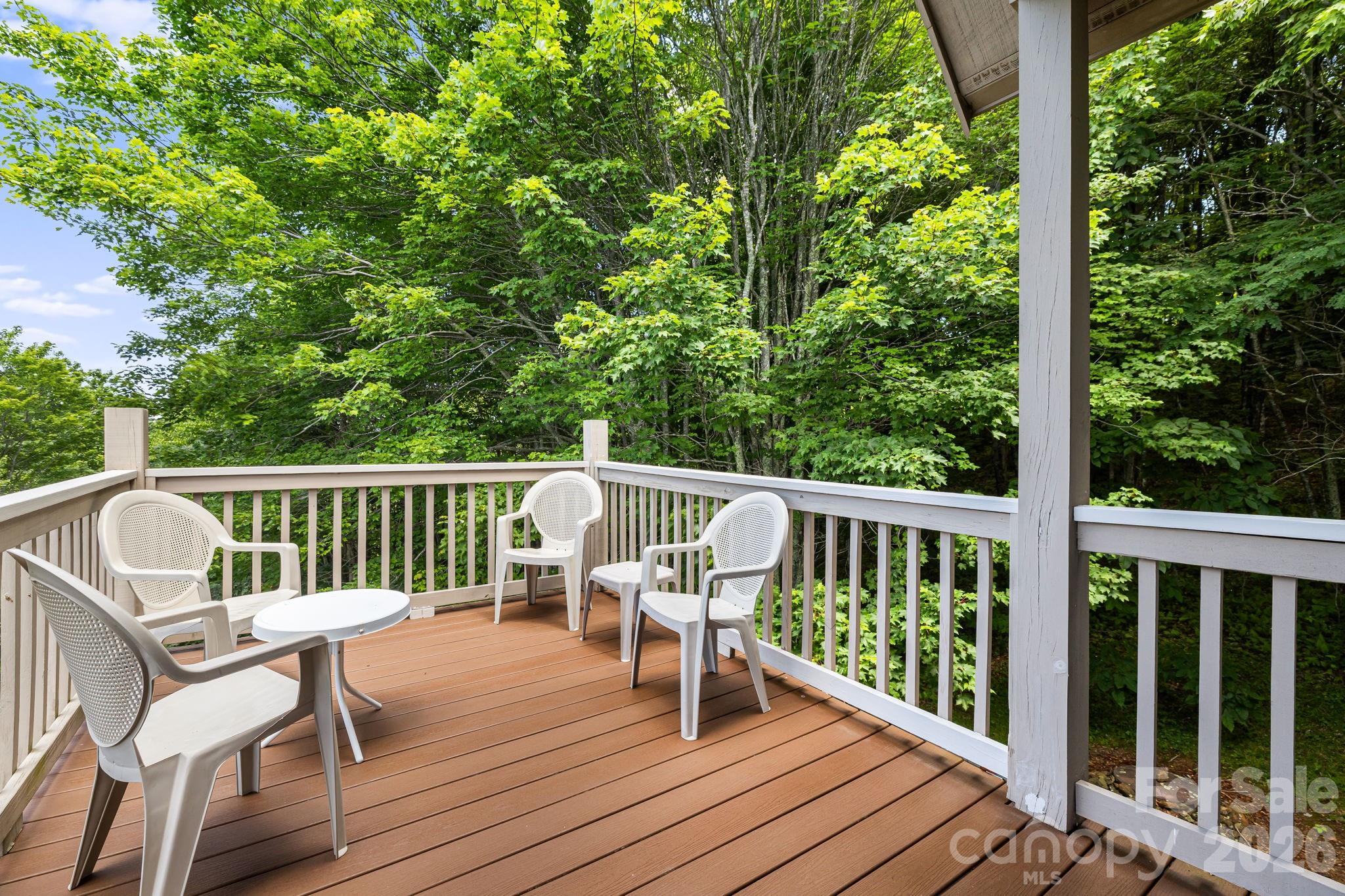 299 Basswood Road Hot Springs, NC 28743 - Photo 22 of 47