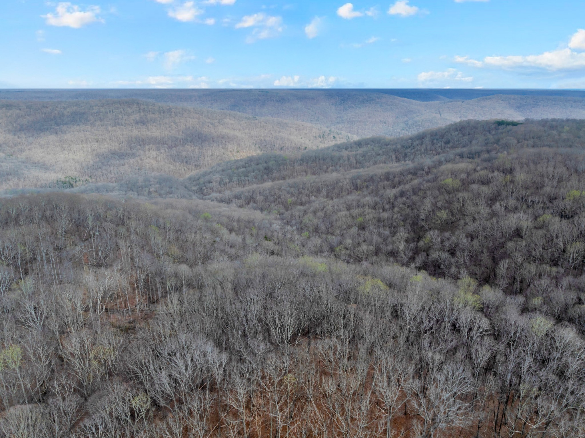 4015 Keith Springs Mountain Road Belvidere, TN 37306 - Photo 18 of 50