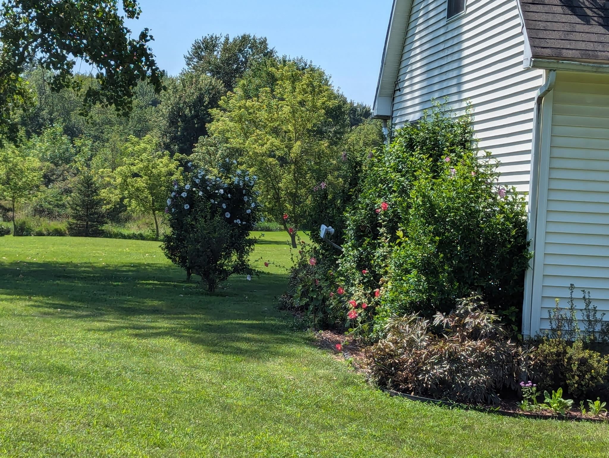 5495 Burton Road Capac, MI 48014 - Photo 43 of 43 50166119-4007dfb2-47b8-40d3-a9d3-746a8b74d8f0.JPG