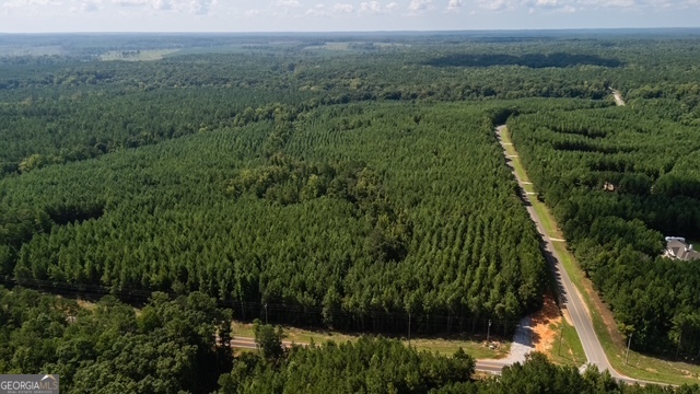 0 Fortune Hole Road Hamilton, GA 31811 - Photo 2 of 8 a view of a lush green forest with trees and some houses