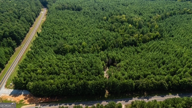 0 Fortune Hole Road Hamilton, GA 31811 - Photo 3 of 8 a view of a forest with a lake