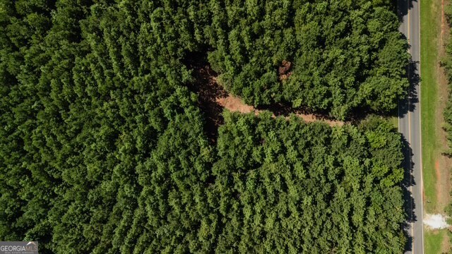 0 Fortune Hole Road Hamilton, GA 31811 - Photo 4 of 8