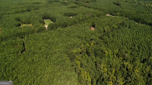 0 Fortune Hole Road Hamilton, GA 31811 - Photo 5 of 8 a view of a forest with a houses