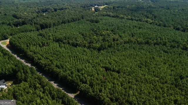 0 Fortune Hole Road Hamilton, GA 31811 - Photo 6 of 8 an aerial view of residential house with outdoor space and trees all around