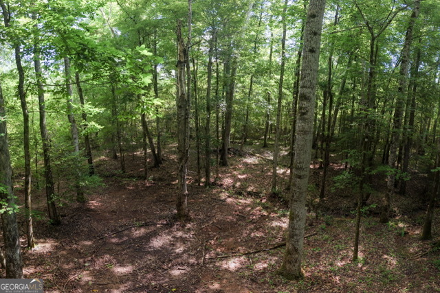 0 Fortune Hole Road Hamilton, GA 31811 - Photo 8 of 8 a view of a forest with trees in the background