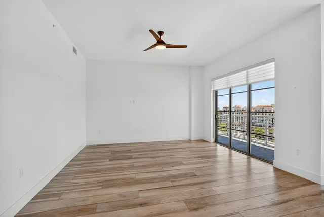 a view of a yard with plants and large trees