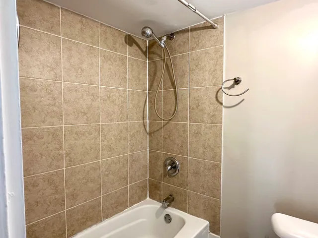 a bathroom with a shower and a toilet
