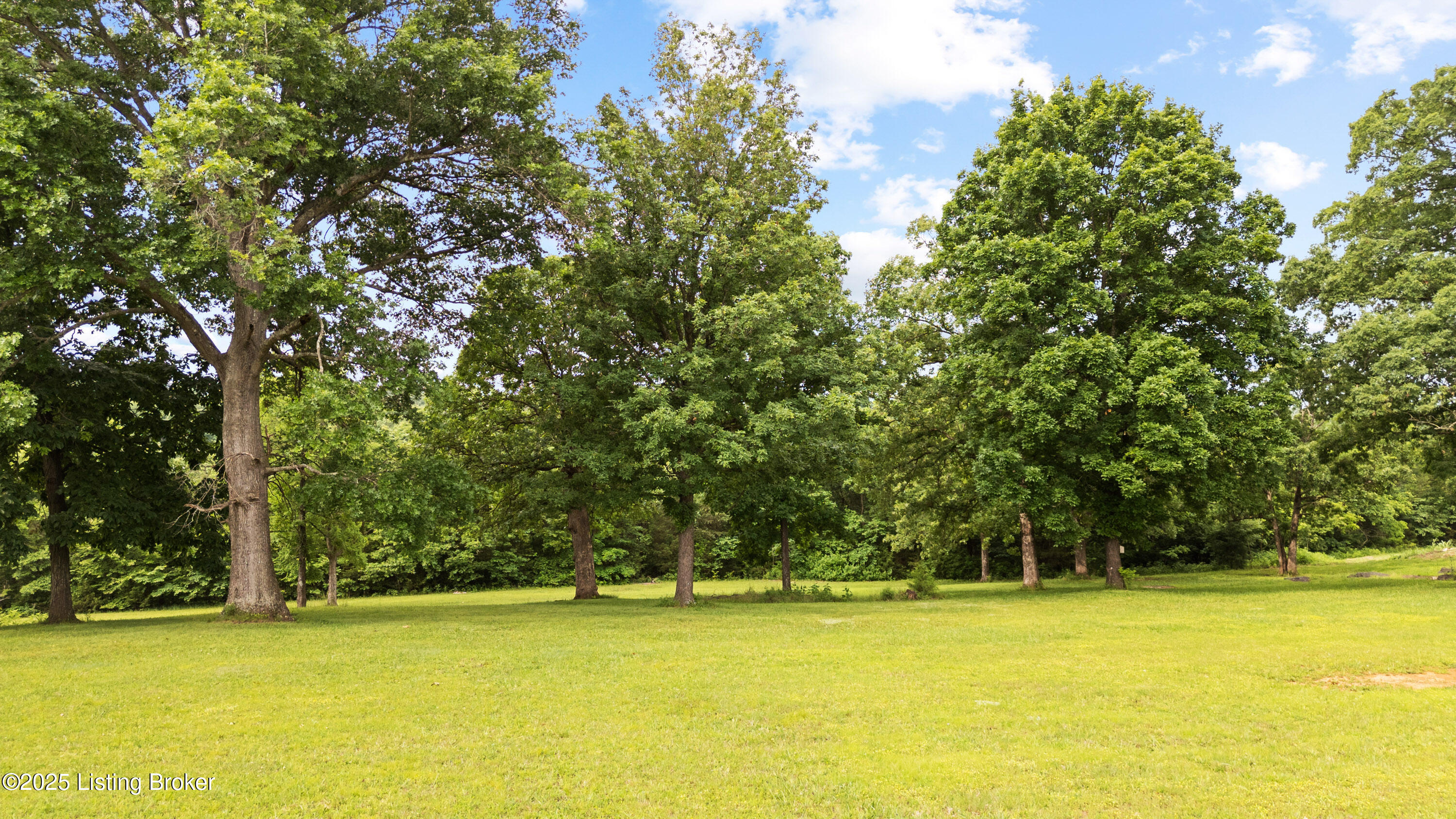 363 Old Ridge Road Shepherdsville, KY 40165 - Photo 21 of 31 025