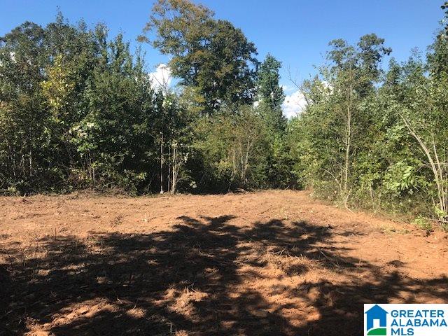 787 Bluff Valley Road, Unit 41 AC Cragford, AL 36255 - Photo 3 of 8
