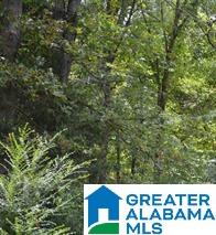 0 Valley Road Ragland, AL 35131 - Photo 5 of 5