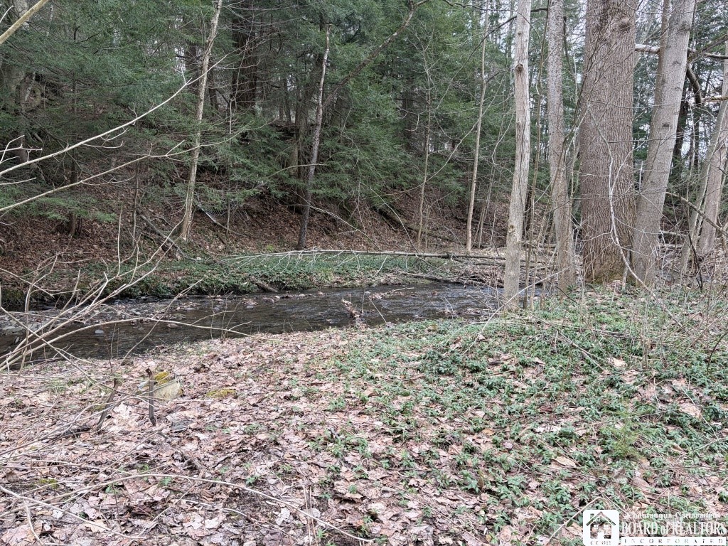1760 Emory Hill Road Frewsburg, NY 14738 - Photo 3 of 9