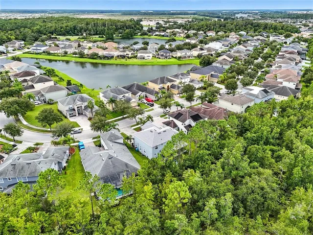 a view of a swimming pool with lawn chairs and plants