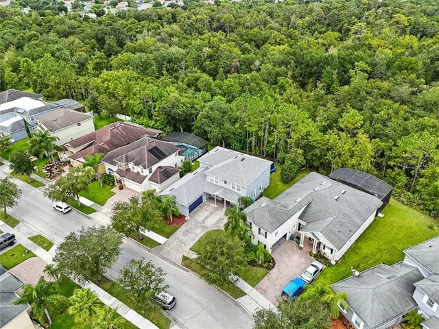 a view of a lake with a city view