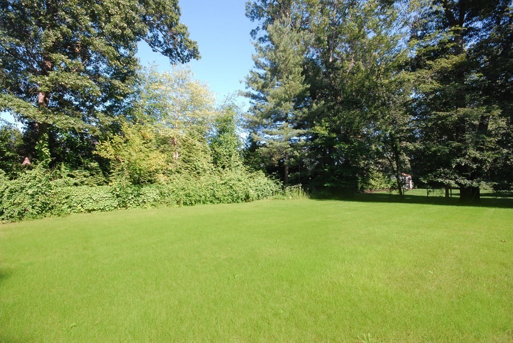118 Monsen Road Concord, MA 01742 - Photo 30 of 34 a view of yard and trees