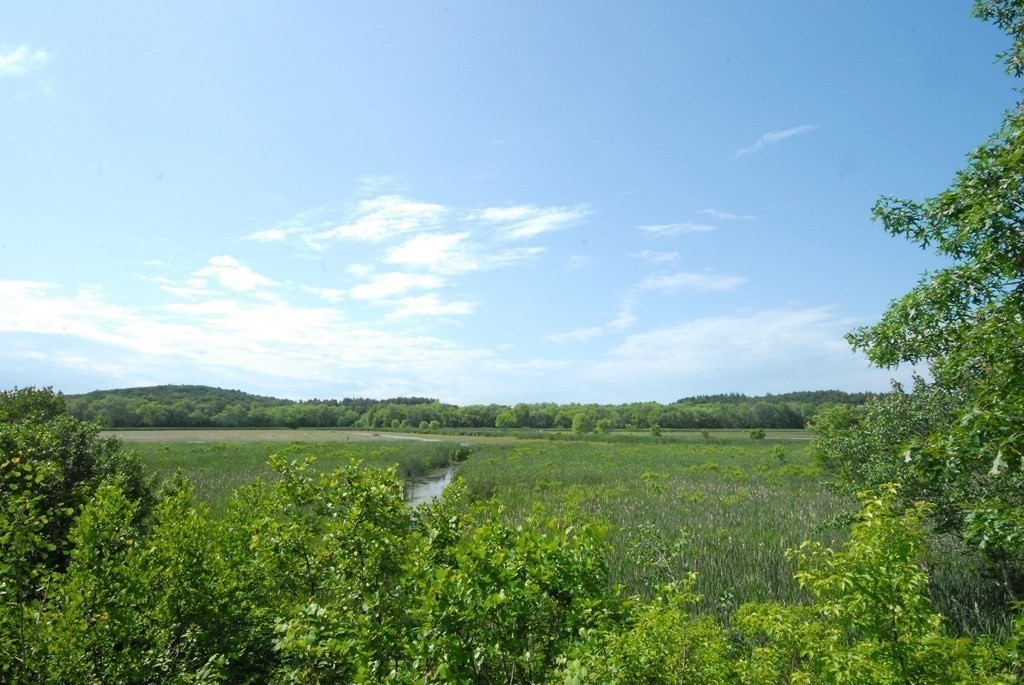 118 Monsen Road Concord, MA 01742 - Photo 33 of 34 a view of a field with an trees