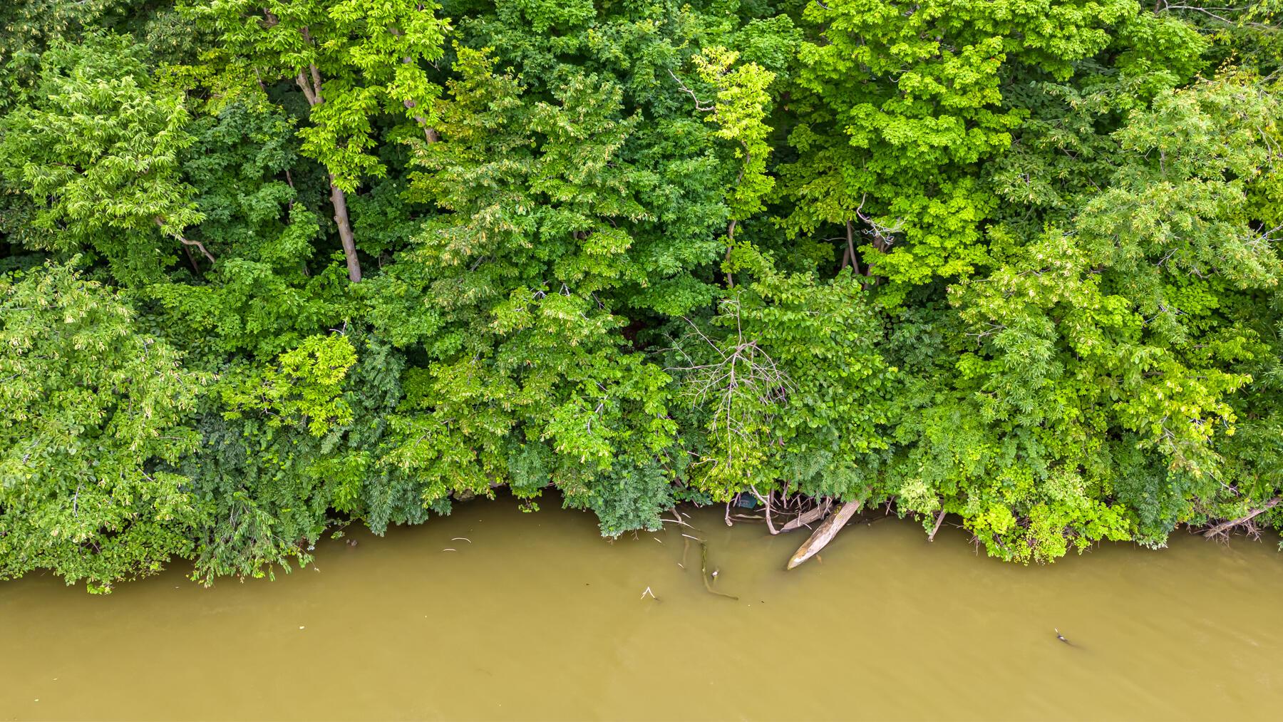 5985 Dublin Road Delaware, OH 43015 - Photo 47 of 49 Scioto River