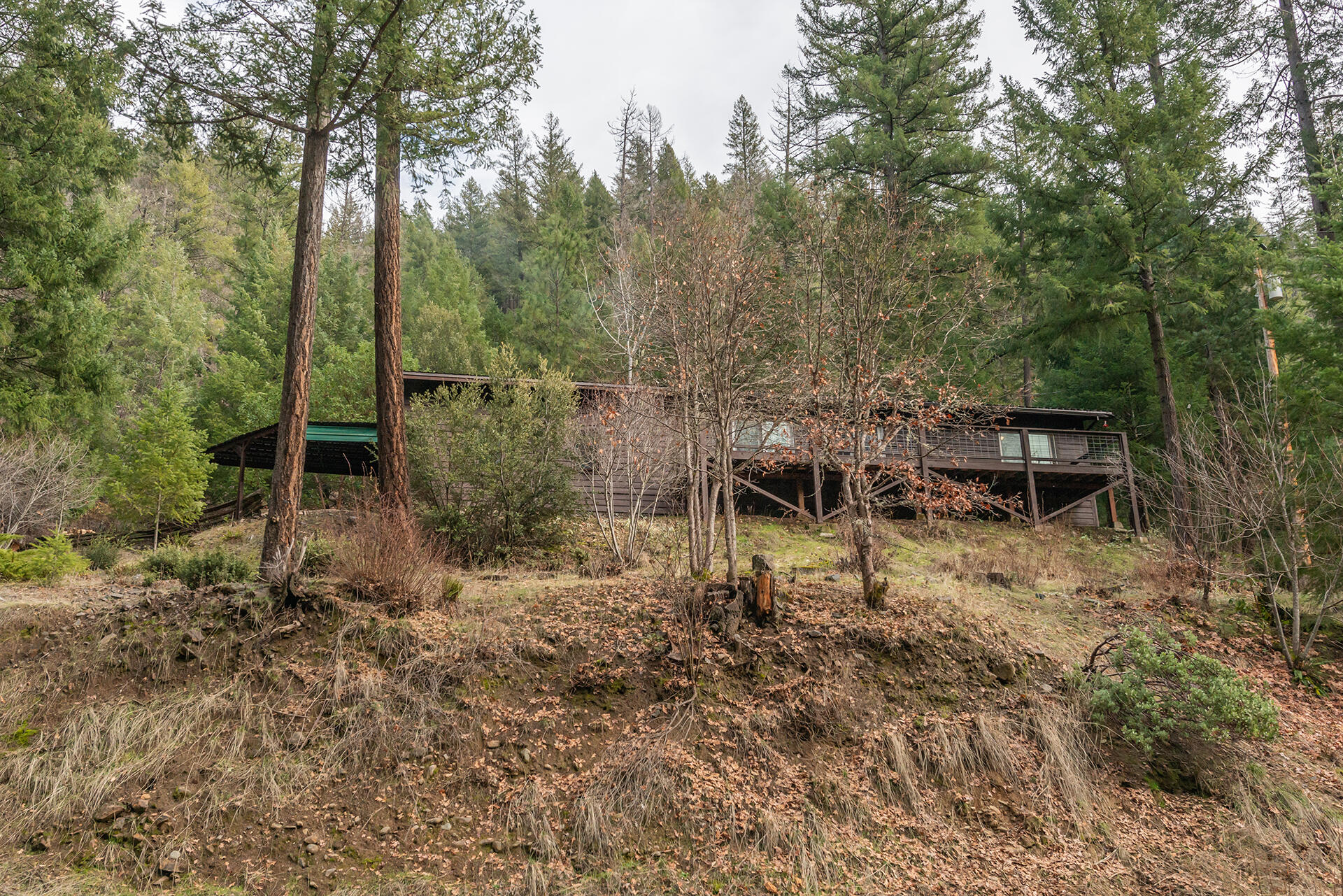 540 Lost Bridge Road Lewiston, CA 96052 - Photo 61 of 67 DSC_5731