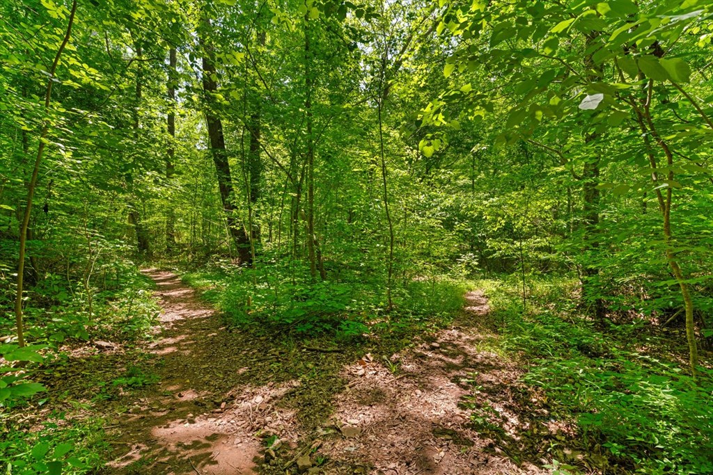 0 Chattanooga Road Rocky Face, GA 30740 - Photo 19 of 26 Gallery Image 19