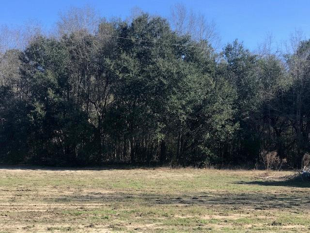 1078 Water Tank Road Neeses, SC 29107 - Photo 1 of 3 Main View