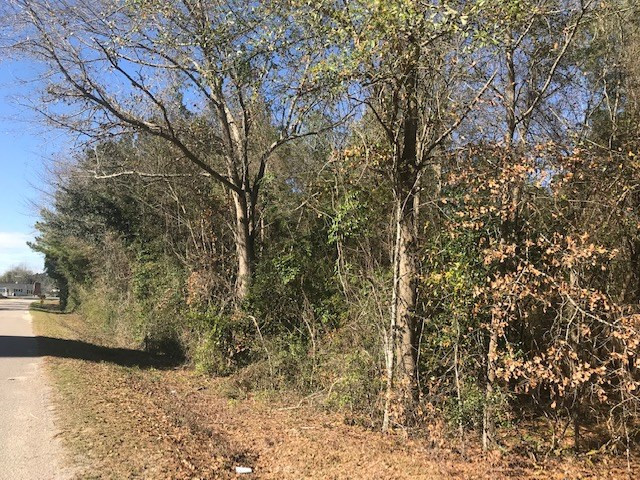 1078 Water Tank Road Neeses, SC 29107 - Photo 2 of 3 Photo 2