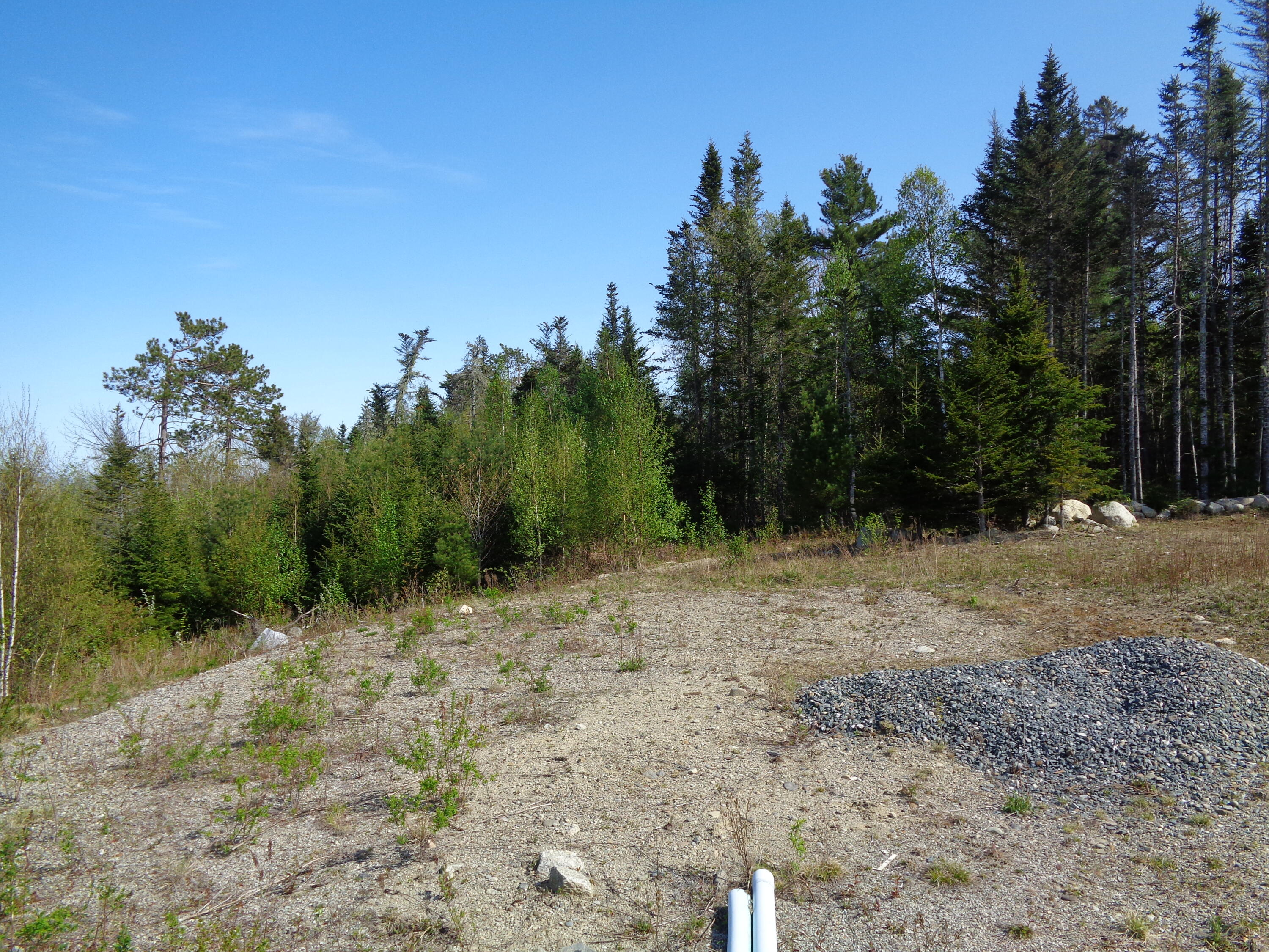323 Moore Road Ellsworth, ME 04605 - Photo 21 of 28 Leachfield