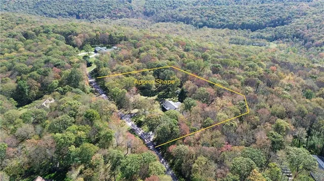 a view of a forest with a houses