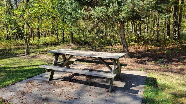 an aerial view of forest