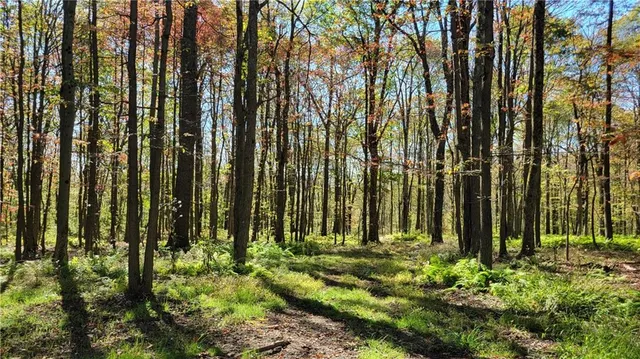 a view of outdoor space with outdoor space