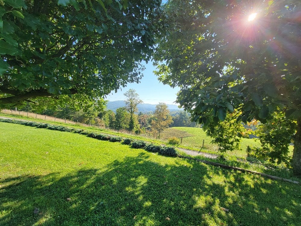 2541 Elk View Road Elk Creek, VA 24326 - Photo 20 of 21 Gallery Image 20