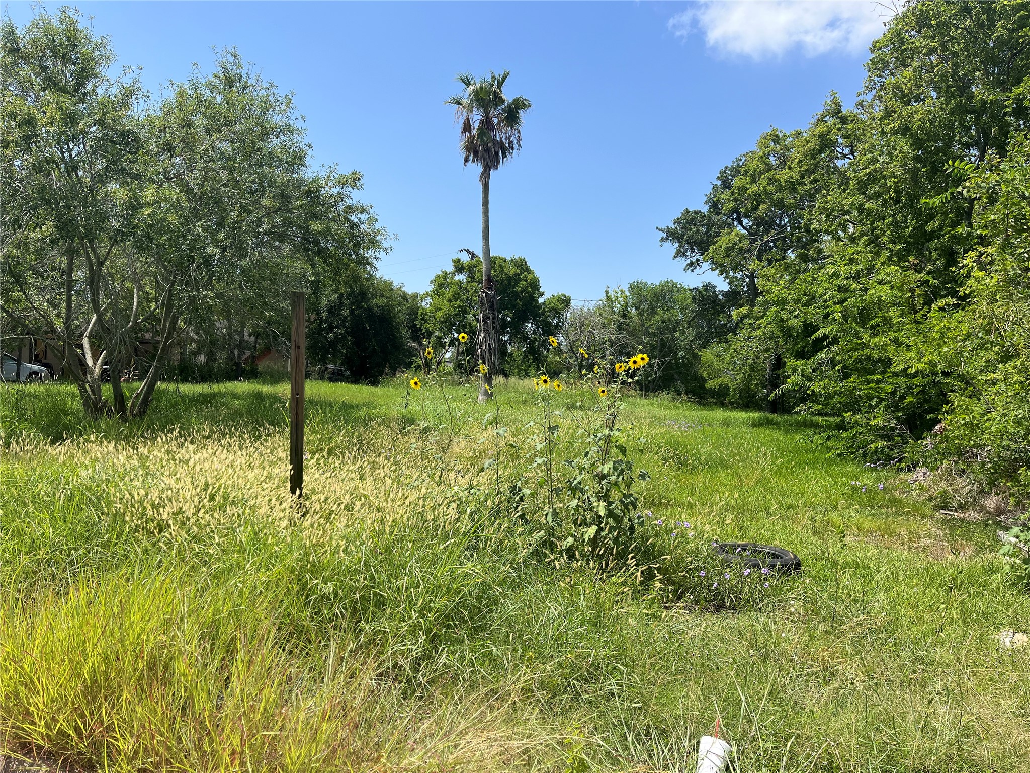 615 West 5th Street Freeport, TX 77541 - Photo 4 of 7 a view of a garden with a tree