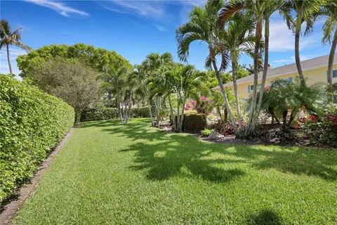 a view of a garden with a tree