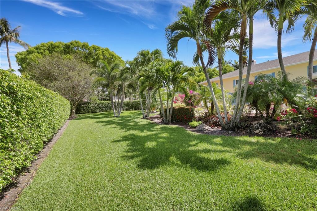 230 3rd Avenue South, Unit 4 Naples, FL 34102 - Photo 19 of 22 a view of a garden with a tree