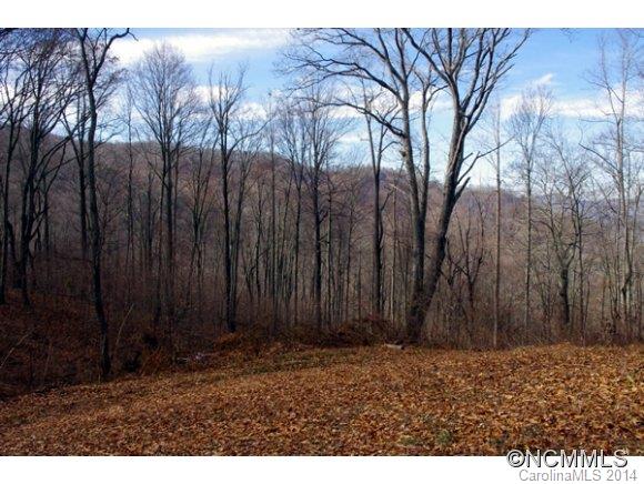 55 Bailey Road, Unit 5 8 10 Swannanoa, NC 28778 - Photo 1 of 18 Gallery Image 1