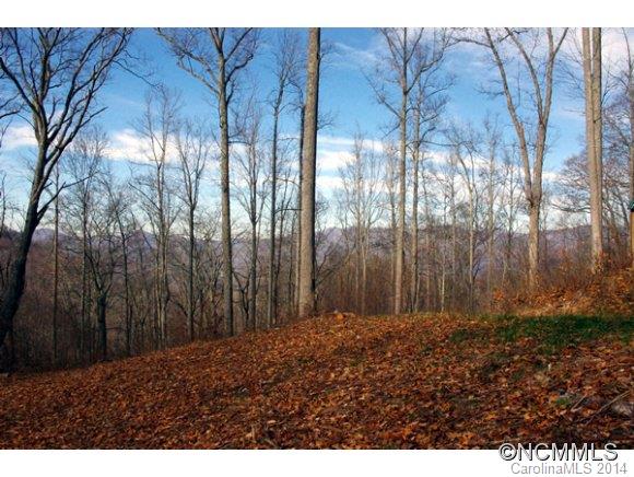 55 Bailey Road, Unit 5 8 10 Swannanoa, NC 28778 - Photo 2 of 18 Gallery Image 2