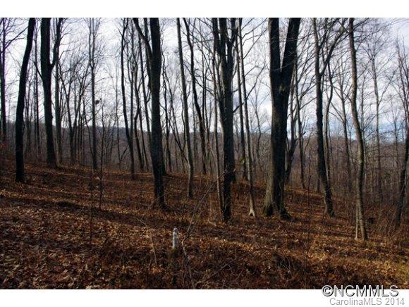 55 Bailey Road, Unit 5 8 10 Swannanoa, NC 28778 - Photo 12 of 18 Gallery Image 12