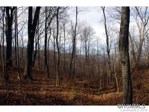 55 Bailey Road, Unit 5 8 10 Swannanoa, NC 28778 - Photo 13 of 18 Gallery Image 13