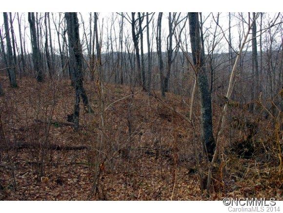 55 Bailey Road, Unit 5 8 10 Swannanoa, NC 28778 - Photo 14 of 18 Gallery Image 14