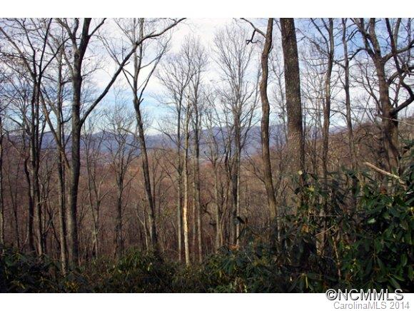 55 Bailey Road, Unit 5 8 10 Swannanoa, NC 28778 - Photo 16 of 18 Gallery Image 16