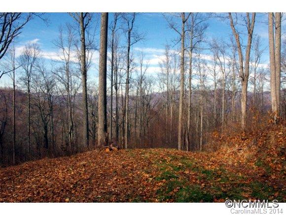 55 Bailey Road, Unit 5 8 10 Swannanoa, NC 28778 - Photo 3 of 18 Gallery Image 3