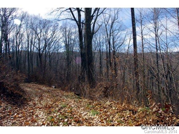 55 Bailey Road, Unit 5 8 10 Swannanoa, NC 28778 - Photo 10 of 18 Gallery Image 10