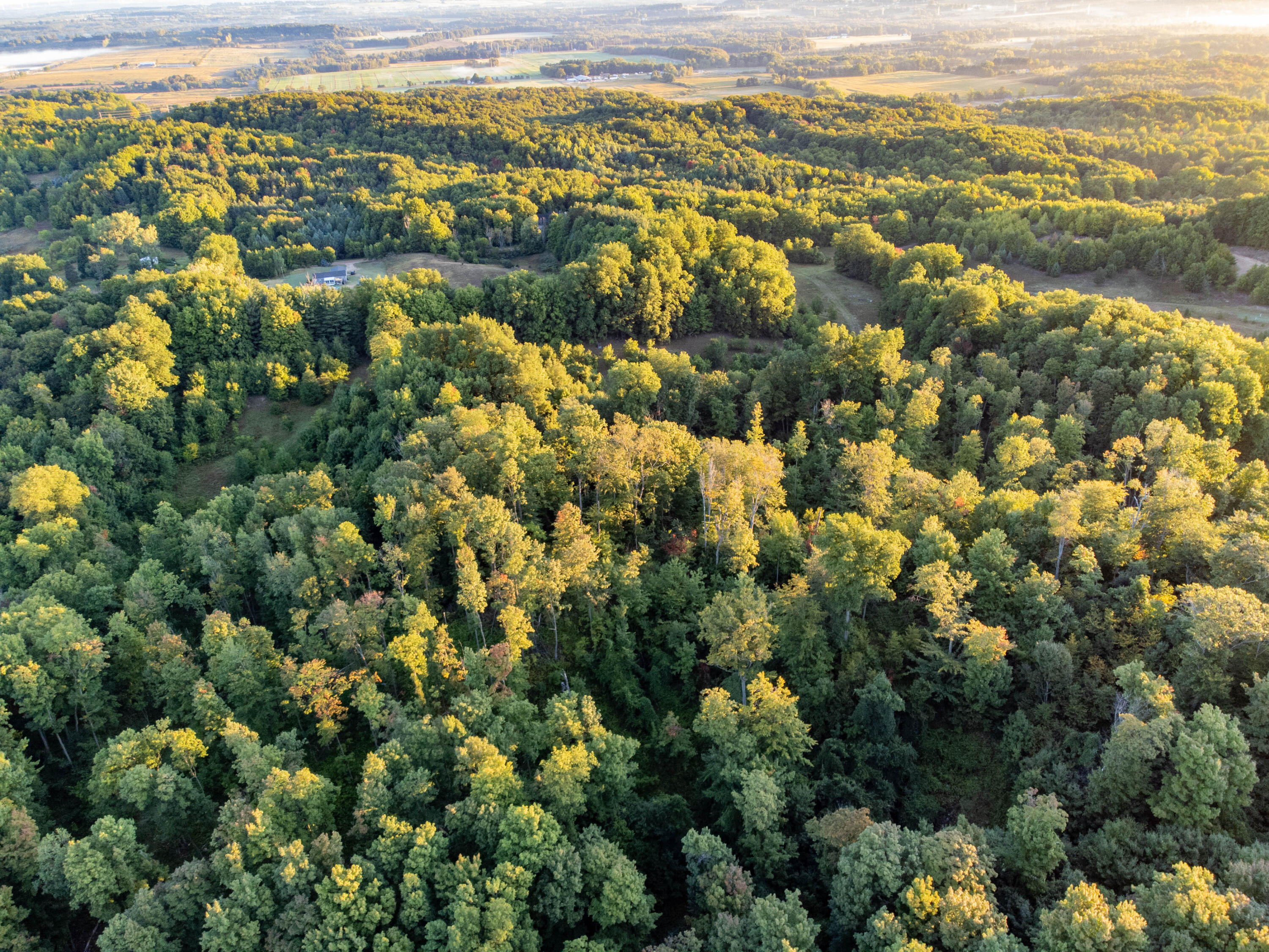 0 West Hazel Road Hart, MI 49420 - Photo 11 of 25 DJI_0638