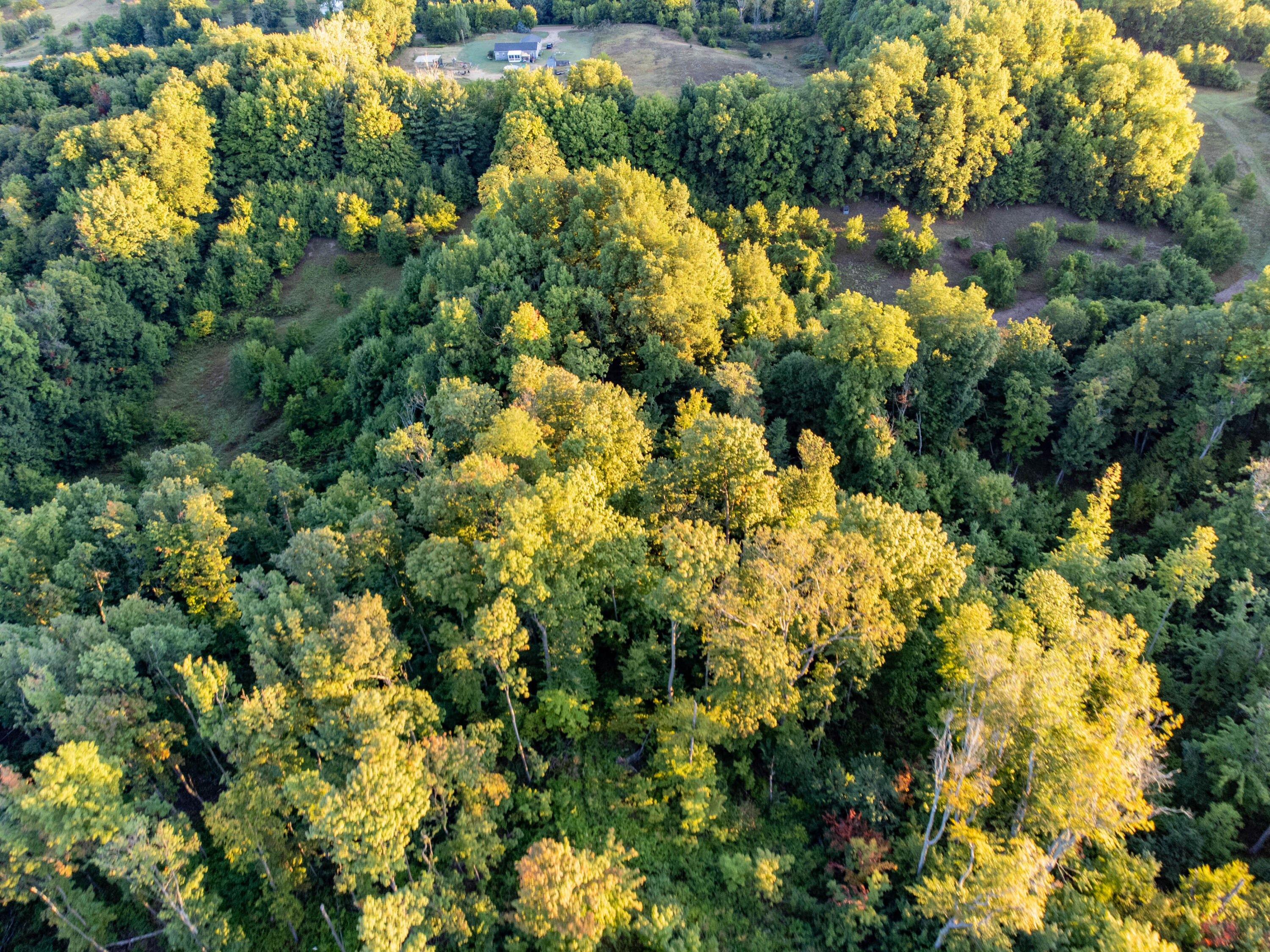 0 West Hazel Road Hart, MI 49420 - Photo 13 of 25 DJI_0640