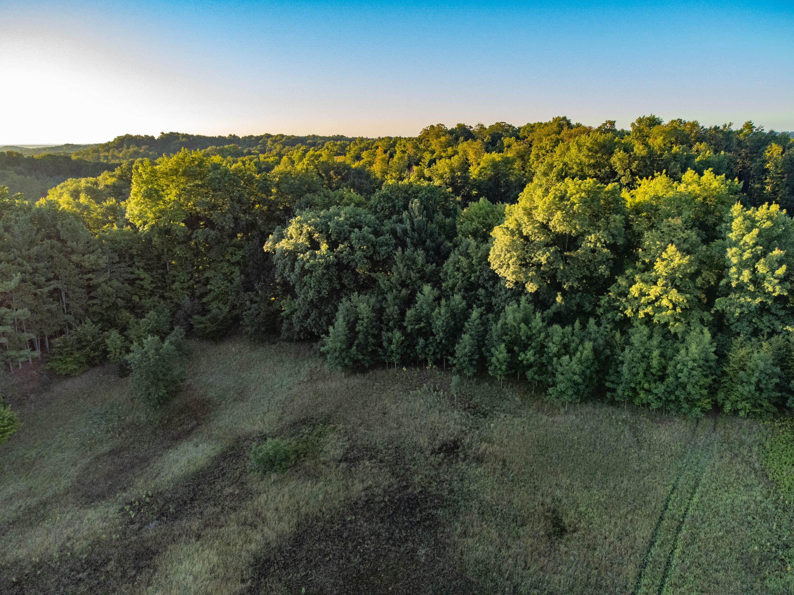 0 West Hazel Road Hart, MI 49420 - Photo 16 of 25 DJI_0647