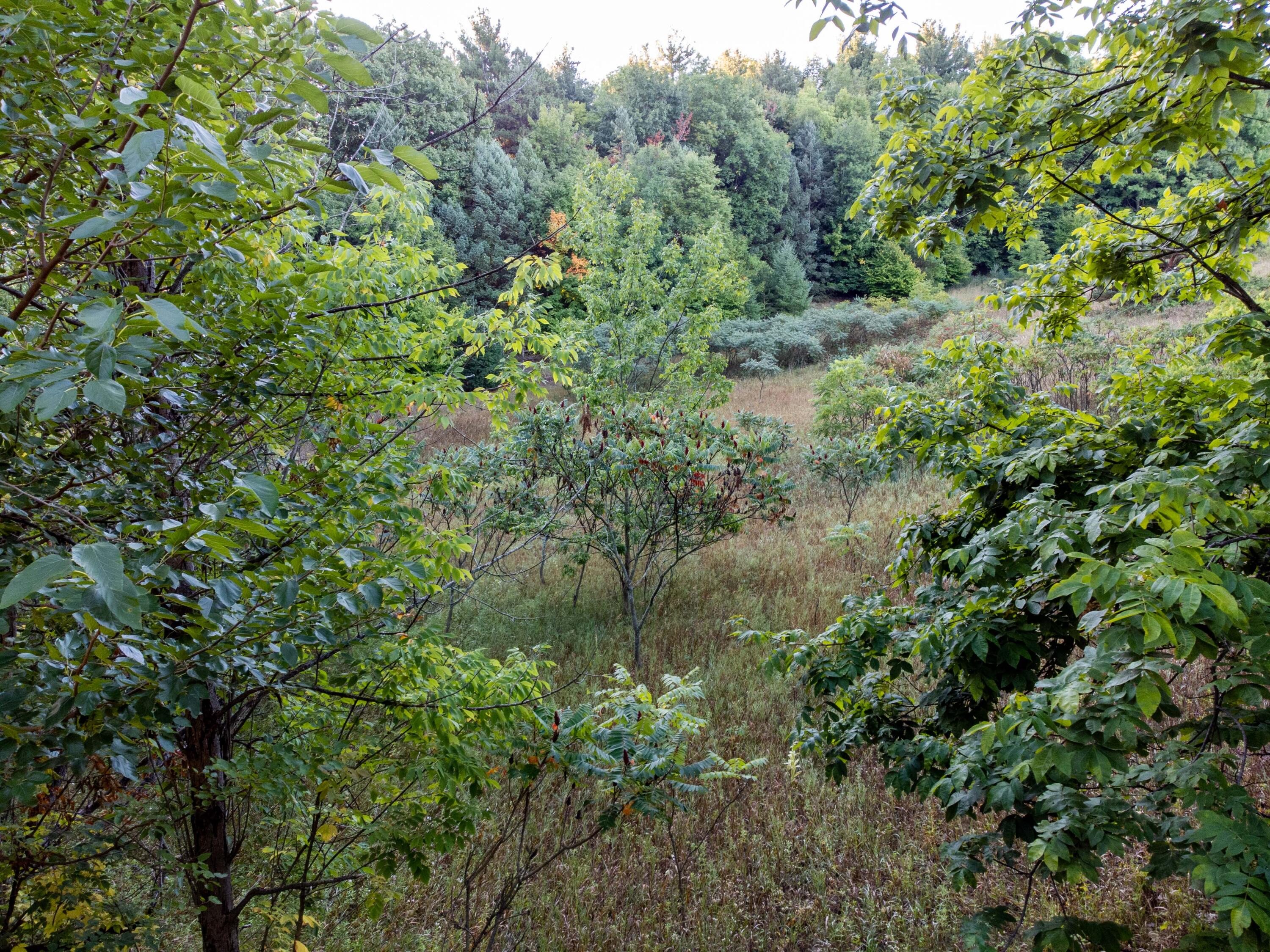 0 West Hazel Road Hart, MI 49420 - Photo 18 of 25 DJI_0652