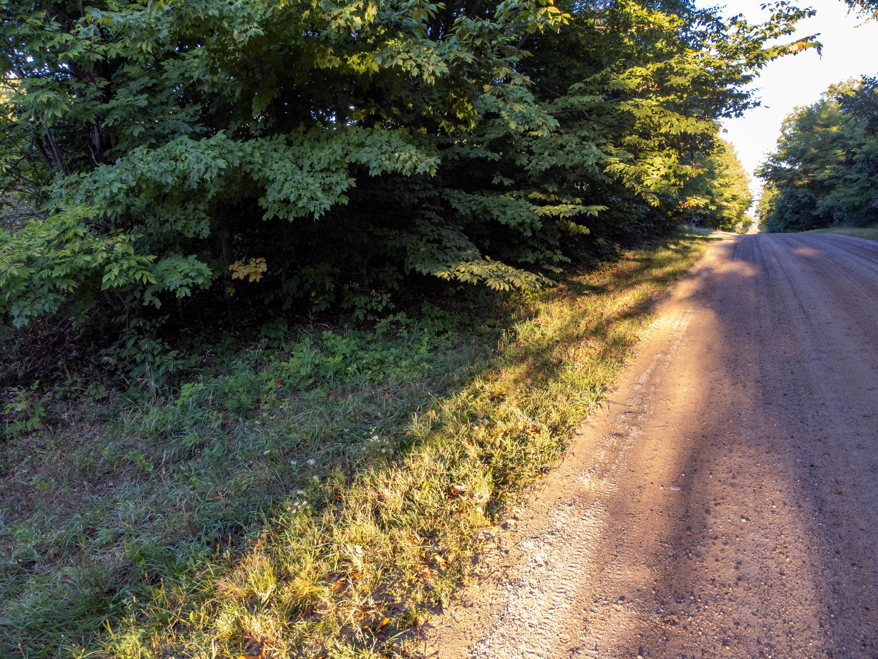 0 West Hazel Road Hart, MI 49420 - Photo 20 of 25 DJI_0654