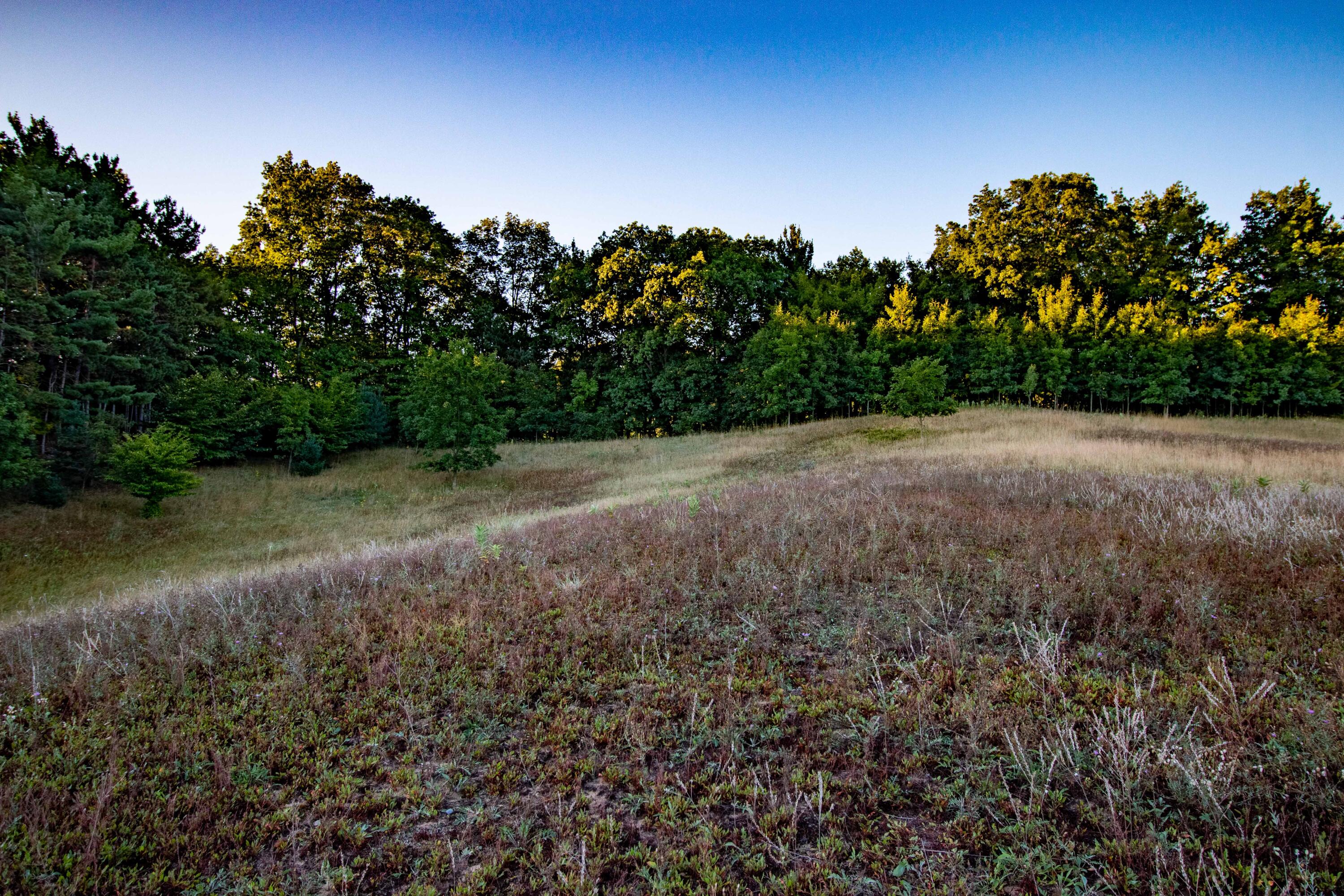 0 West Hazel Road Hart, MI 49420 - Photo 22 of 25 IMG_9249-HDR