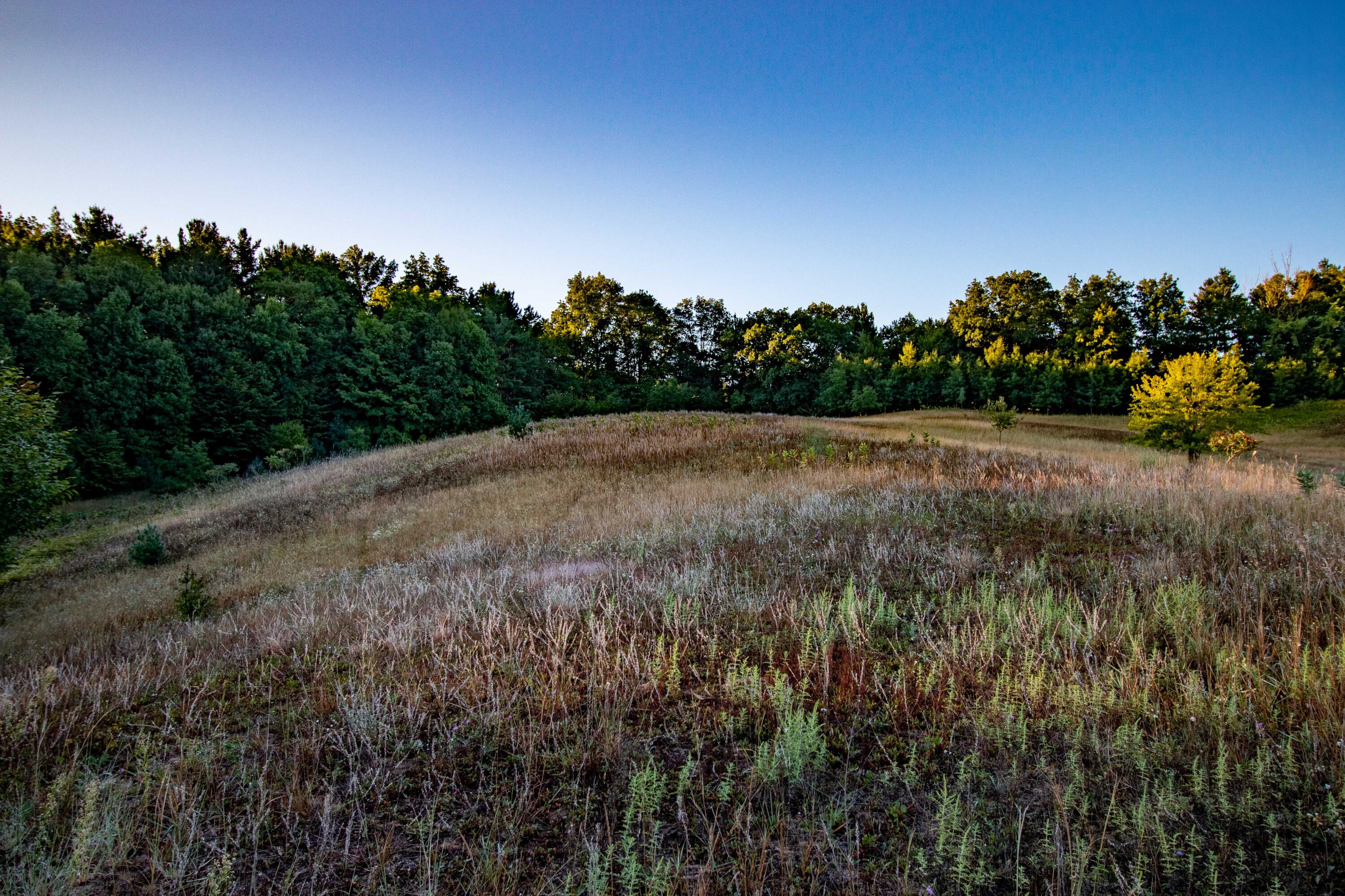 0 West Hazel Road Hart, MI 49420 - Photo 23 of 25 IMG_9243-HDR