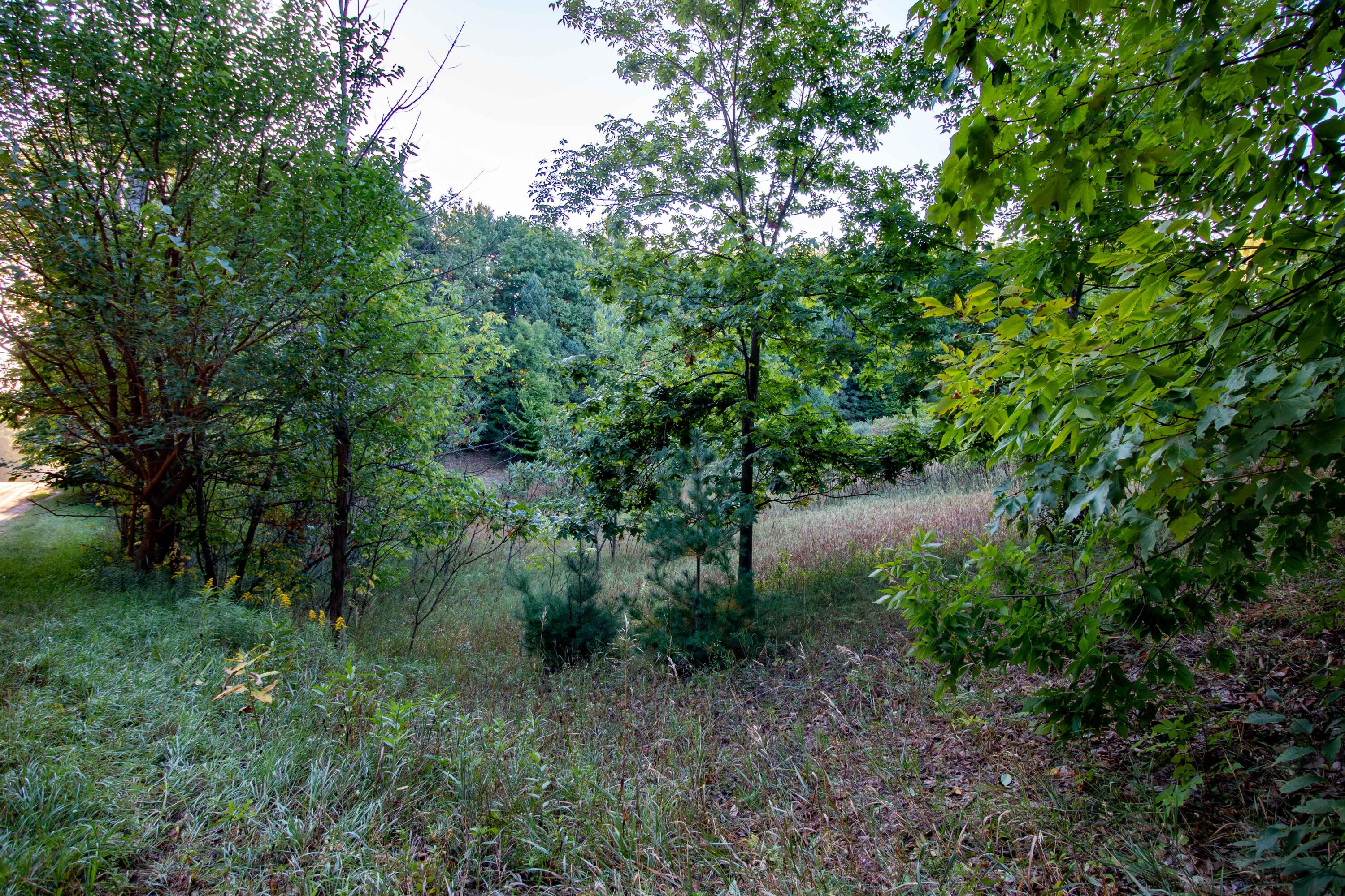 0 West Hazel Road Hart, MI 49420 - Photo 24 of 25 IMG_9234-HDR