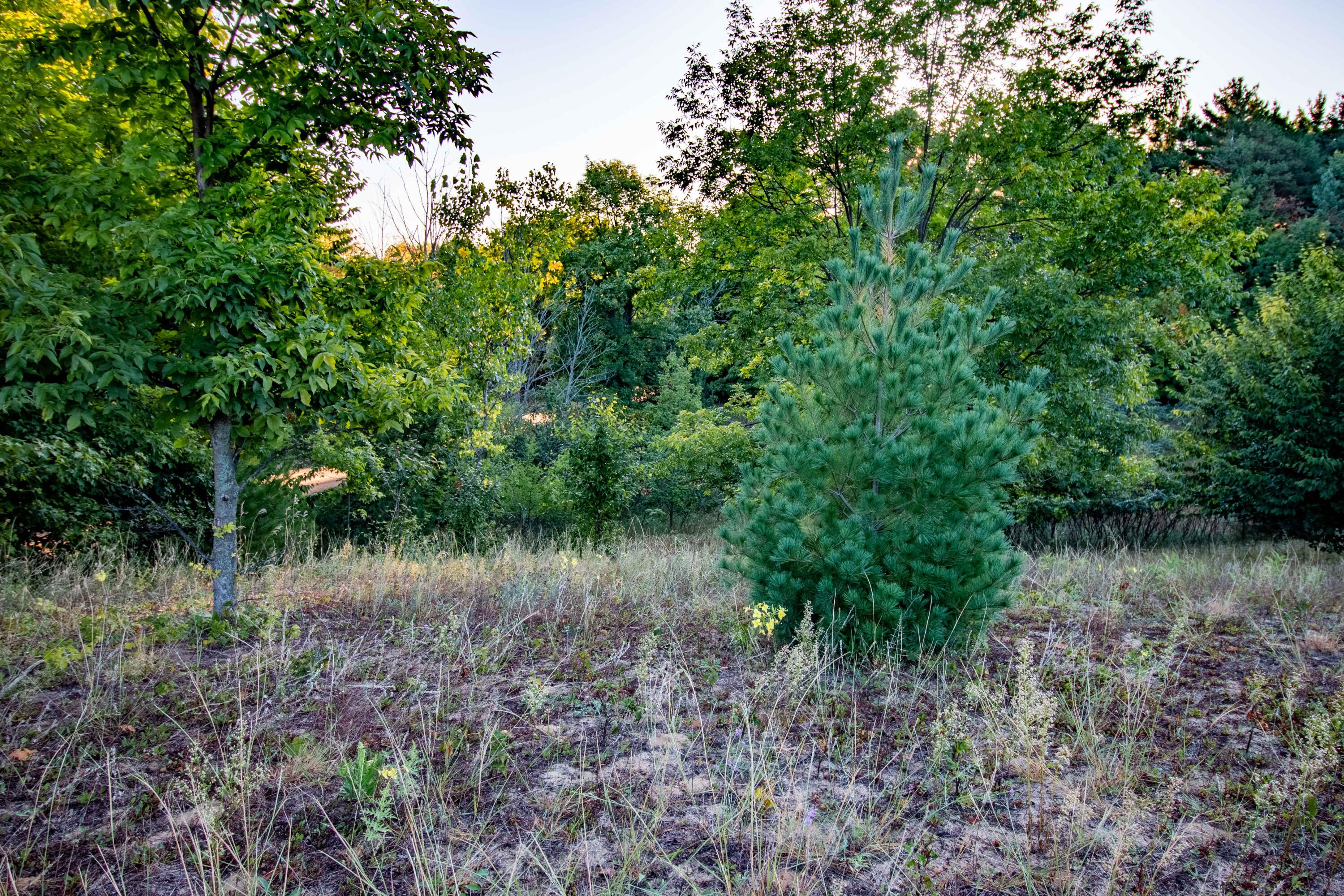 0 West Hazel Road Hart, MI 49420 - Photo 25 of 25 IMG_9246-HDR